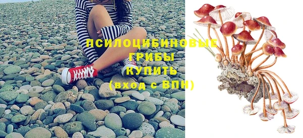 индика Бородино