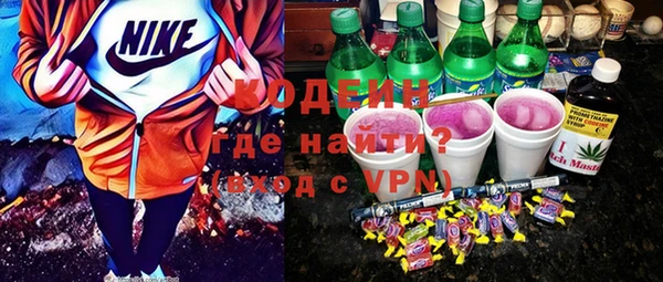 индика Бородино