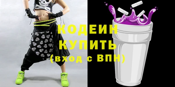 индика Бородино