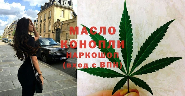индика Бородино