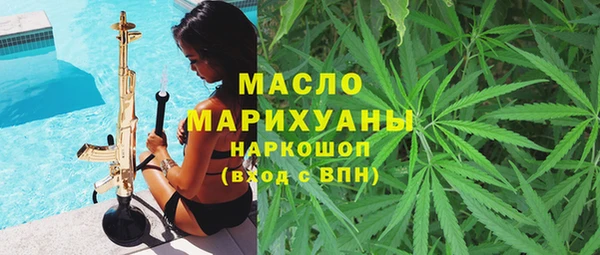 индика Бородино