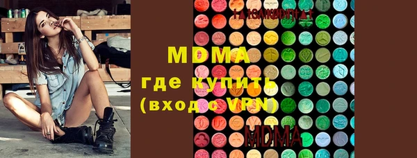 индика Бородино