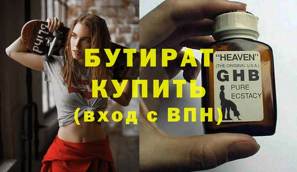 индика Бородино