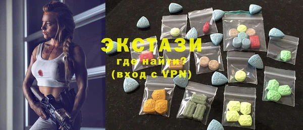 индика Бородино