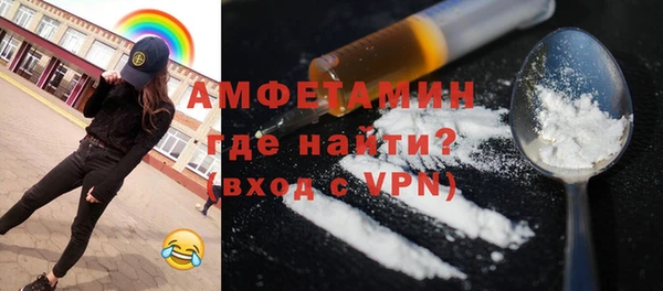 индика Бородино